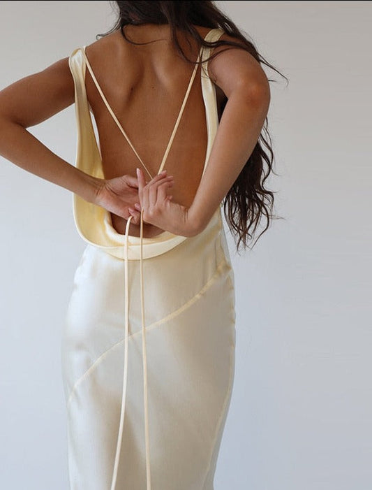Rosa Elegant Dress