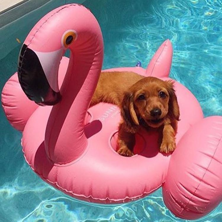 Flamingos Inflatable Floating With 4 Cups Holder Swimming Toy