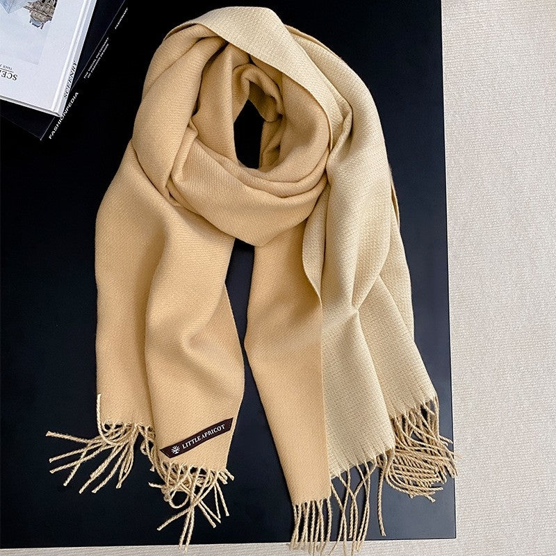 Fashionable And Versatile Color Blocking Imitation Cashmere Scarf