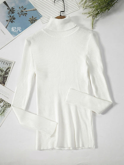 Casual Long Sleeves Skinny Solid Color High-Neck Sweater Tops