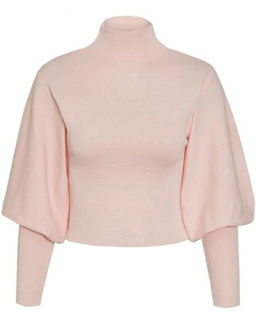 Anisa Fox Sweater
