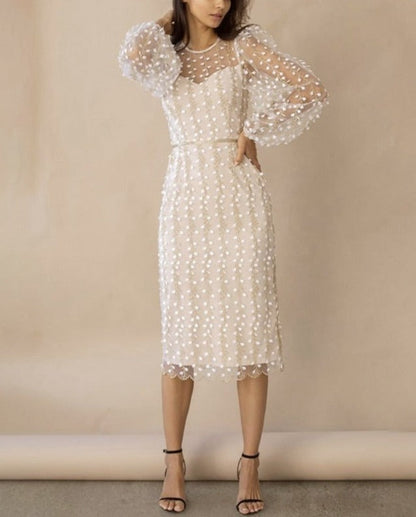 Nino Embroidered Dress