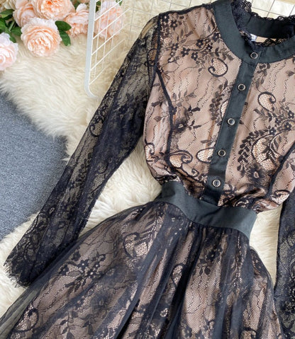Eldaria Lace Dress